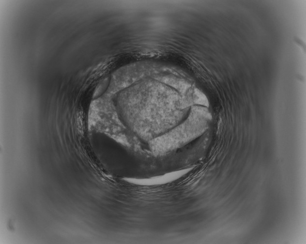 X0000096481394200802211203