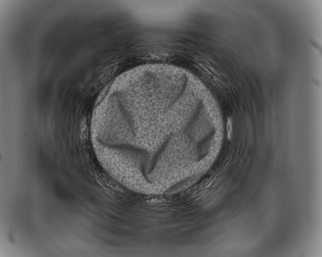 X0000096481395200802211203