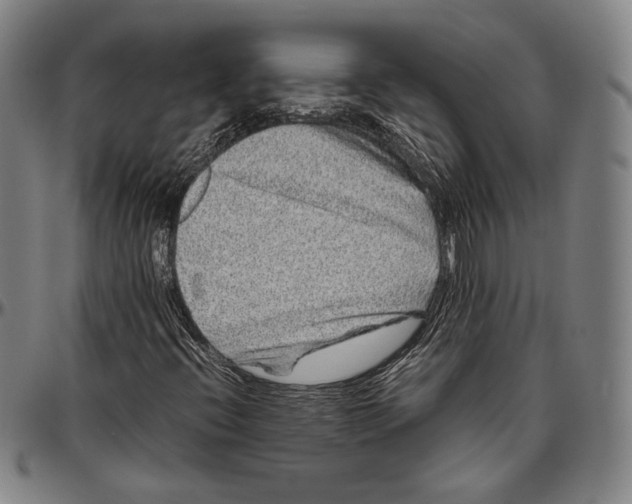 X0000096481396200802211203