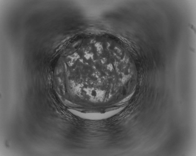 X0000096481397200802211203