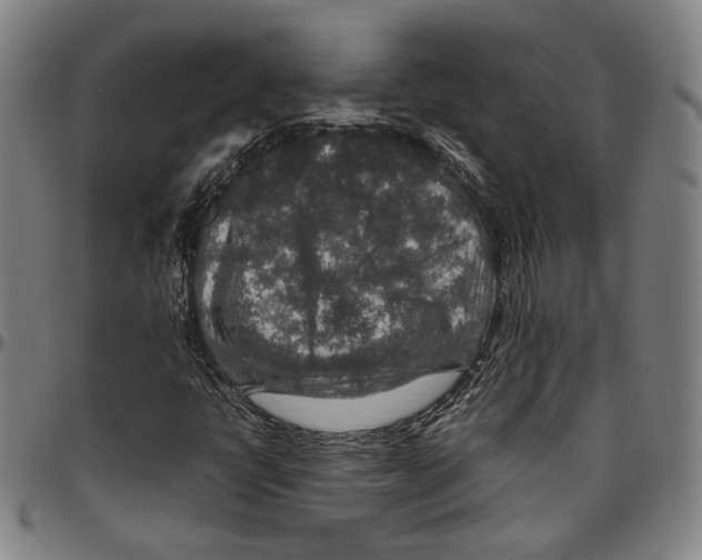 X0000096481398200802211203