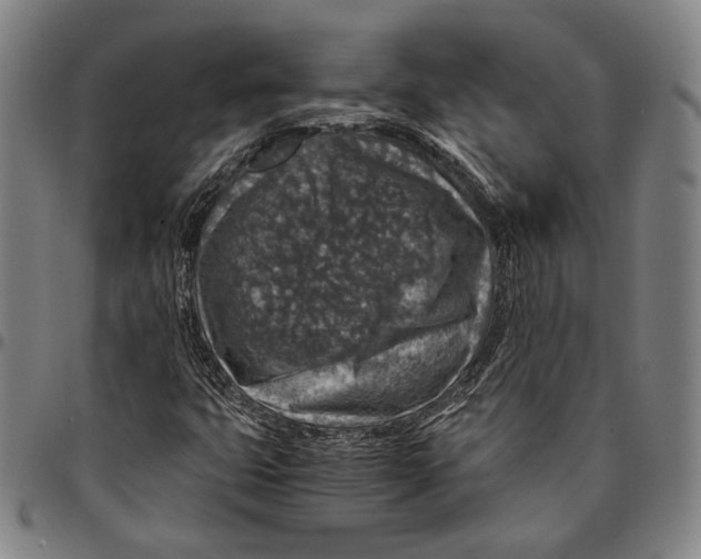 X0000096481399200802211203