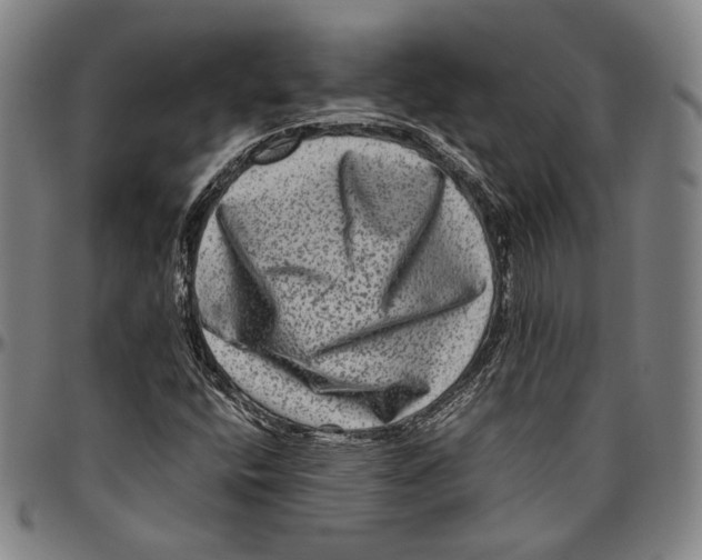 X0000096481400200802211203