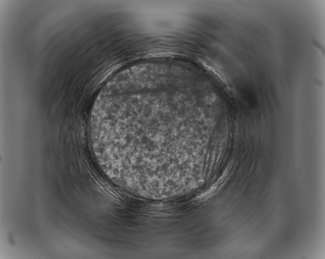 X0000096481401200802211203