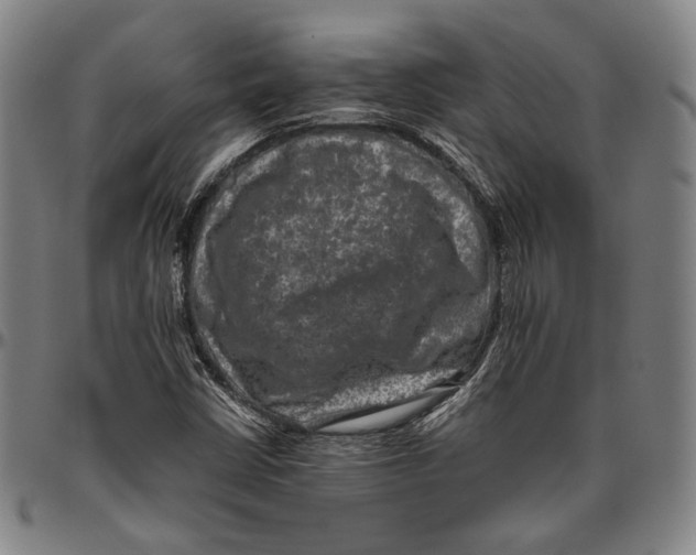 X0000096481402200802211203