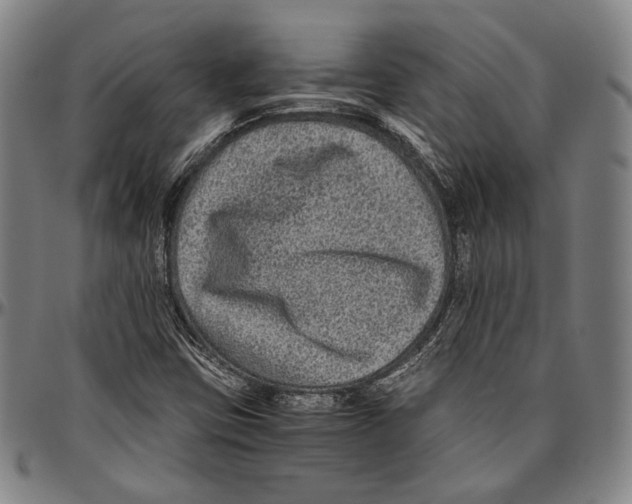 X0000096481403200802211203