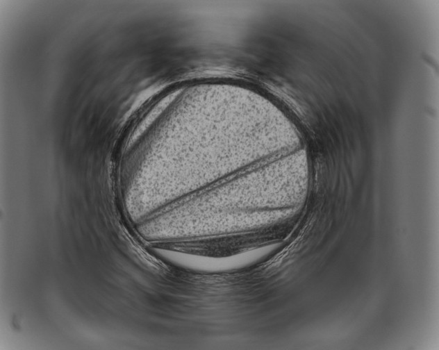 X0000096481404200802211203