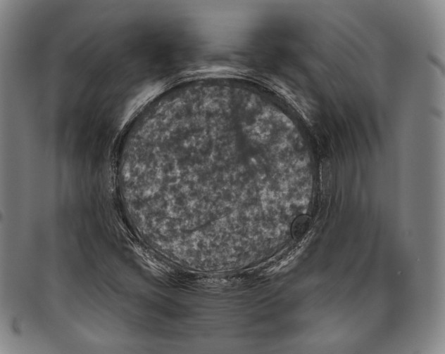 X0000096481405200802211203