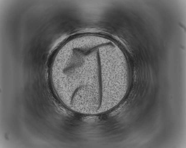 X0000096481406200802211203