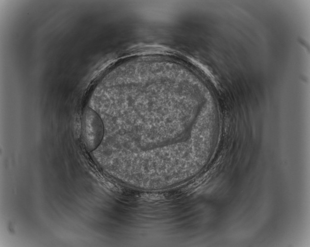 X0000096481407200802211203