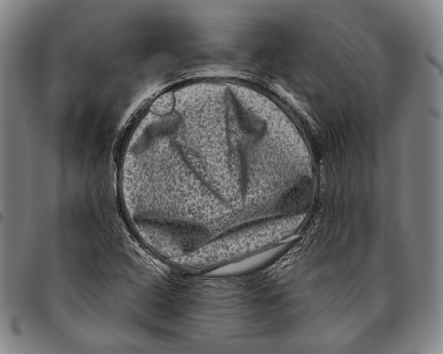 X0000096481408200802211203