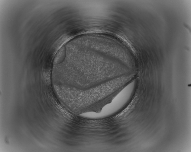 X0000096481409200802211203