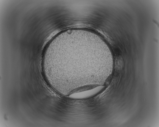 X0000096481410200802211203