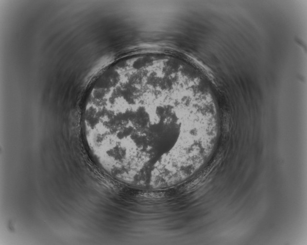 X0000096481411200802211203