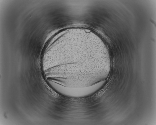 X0000096481412200802211203