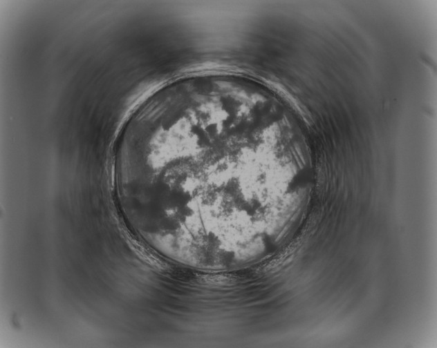 X0000096481413200802211203