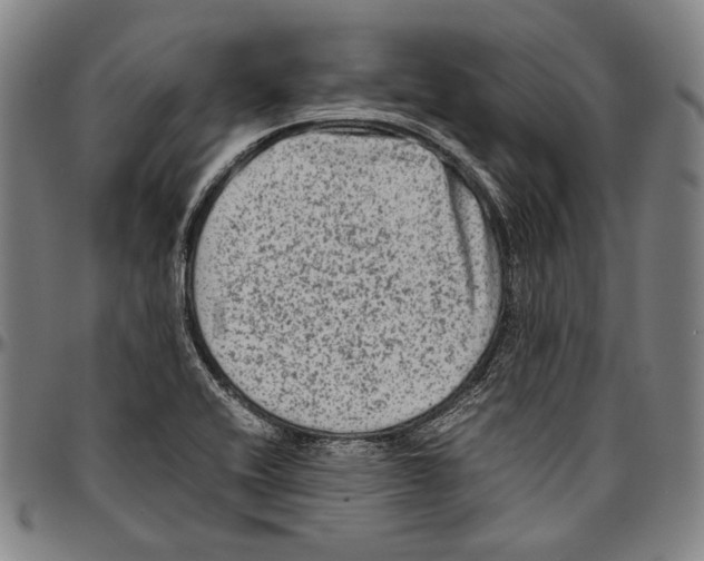 X0000096481416200802211203