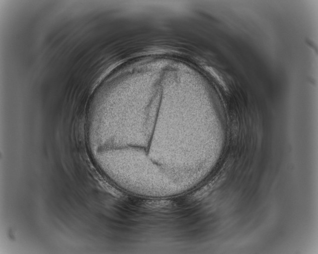 X0000096481417200802211203