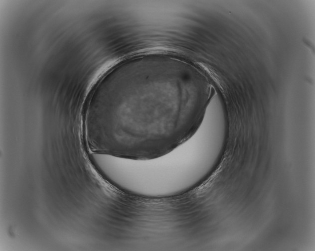 X0000096481418200802211203