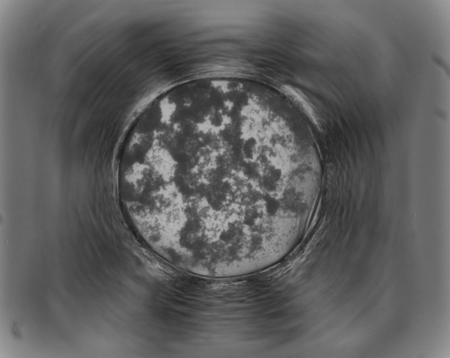 X0000096481419200802211203