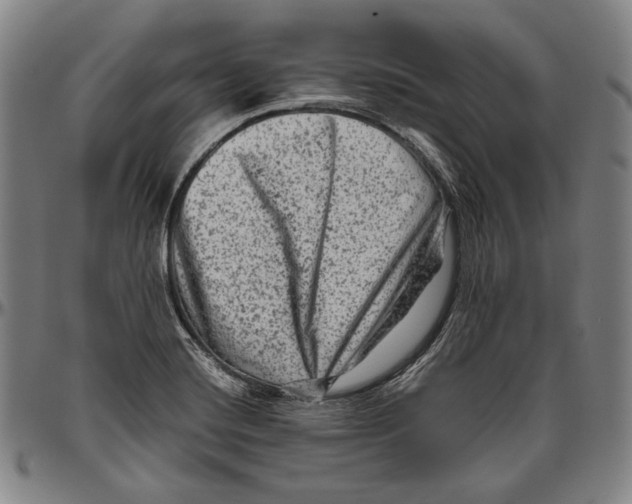 X0000096481420200802211203