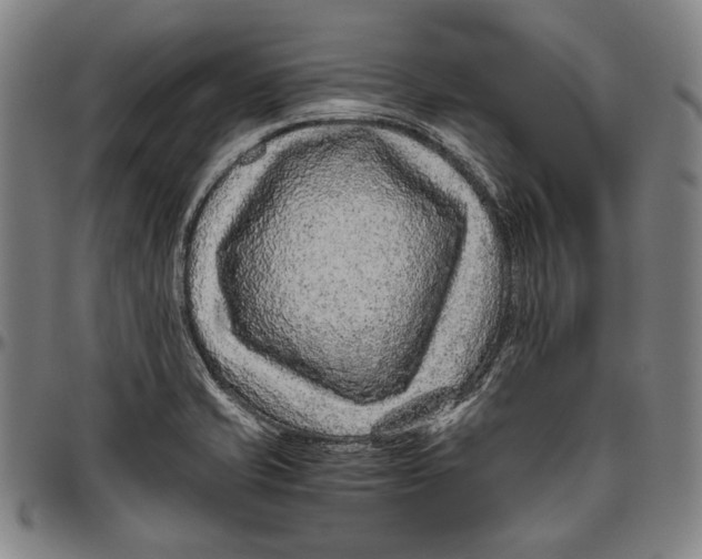 X0000096481421200802211203