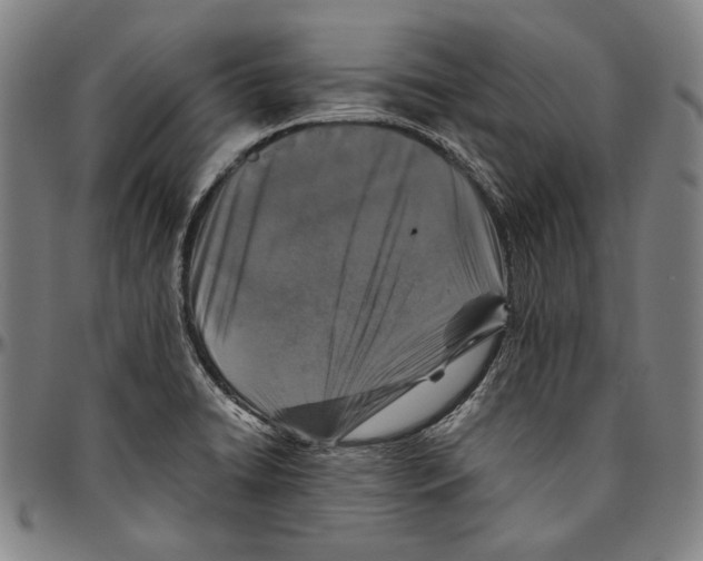 X0000096481422200802211203