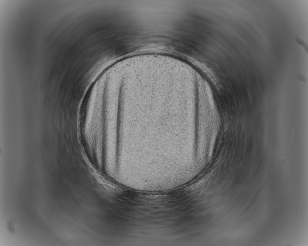 X0000096481423200802211203