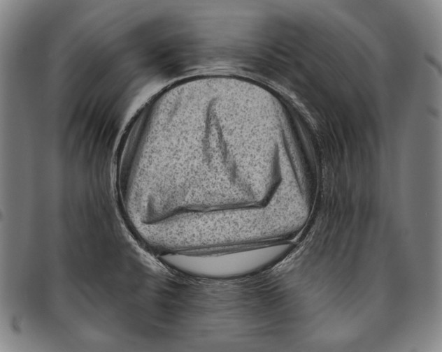 X0000096481424200802211203