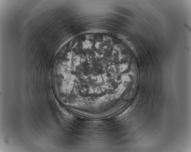 X0000096481425200802211204