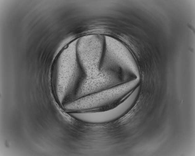 X0000096481426200802211204