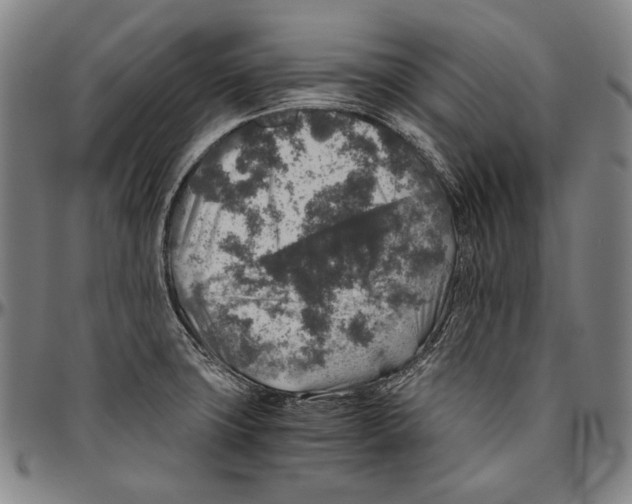 X0000096481427200802211204