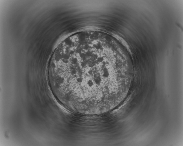 X0000096481429200802211204