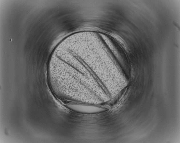 X0000096481430200802211204