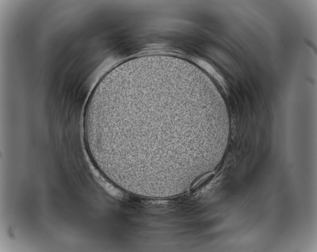 X0000096481431200802211204