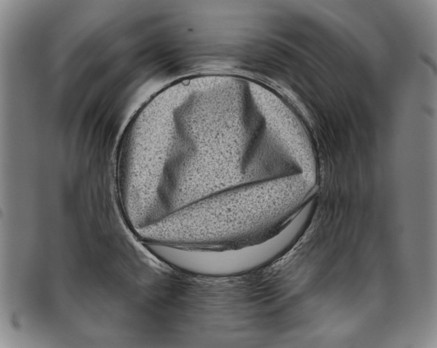 X0000096481432200802211204