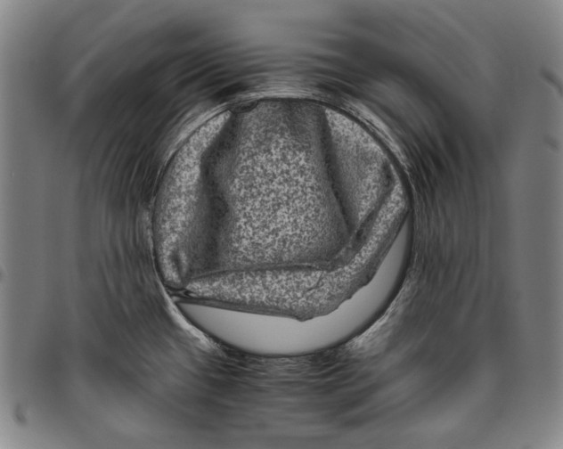 X0000096481433200802211204