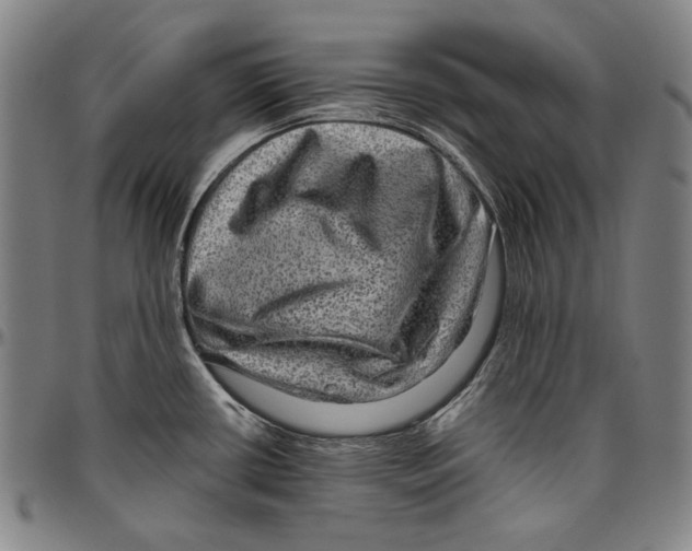 X0000096481434200802211204