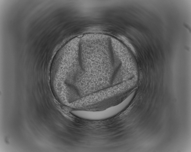 X0000096481435200802211204