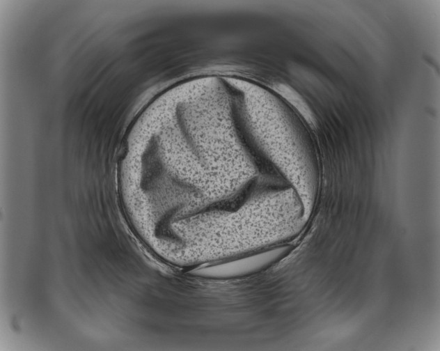 X0000096481436200802211204