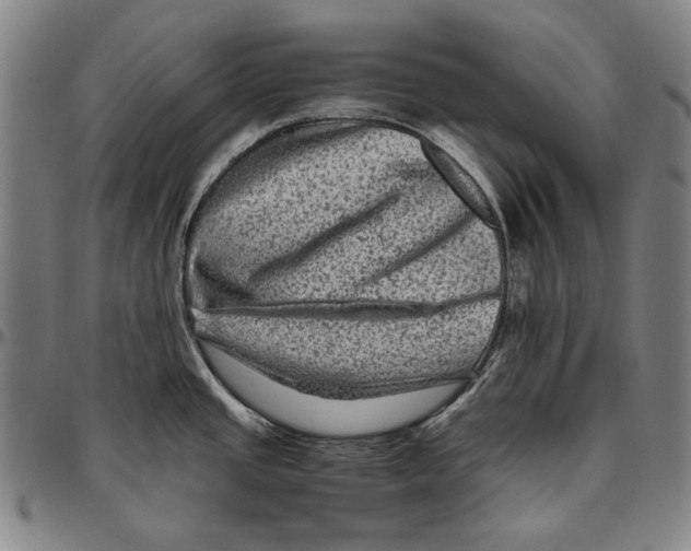 X0000096481437200802211204