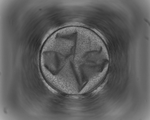 X0000096481438200802211204