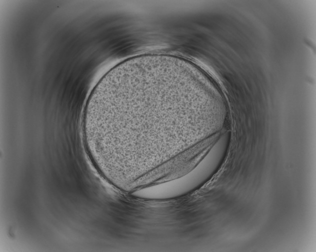 X0000096481440200802211204