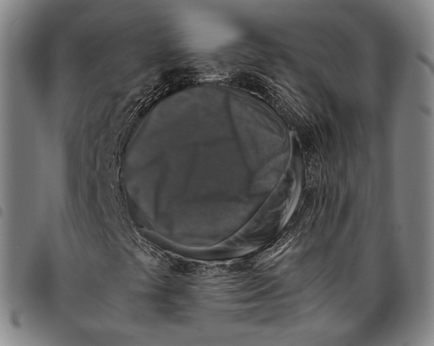 X0000096481441200802211203