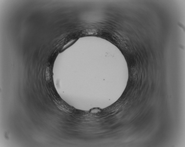 X0000096481442200802211203