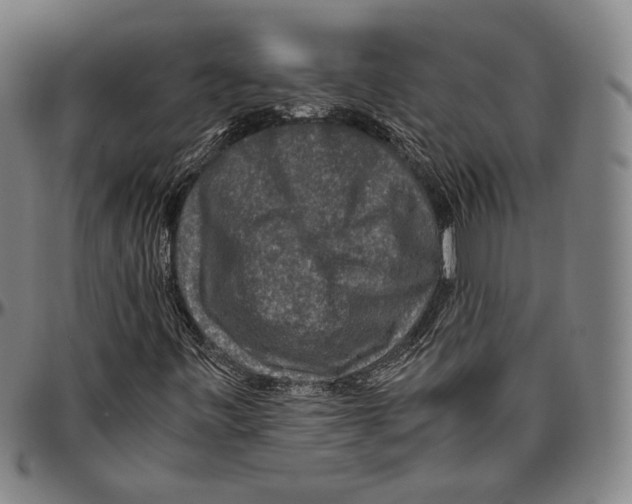 X0000096481443200802211203