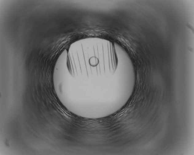 X0000096481444200802211203