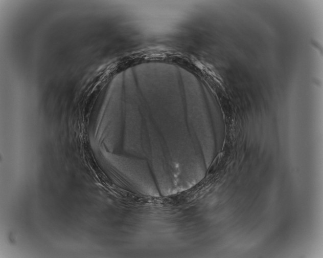 X0000096481445200802211203