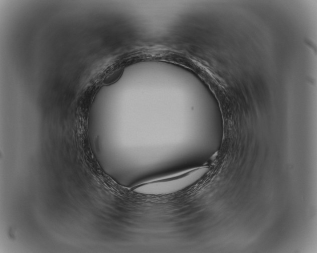 X0000096481447200802211203