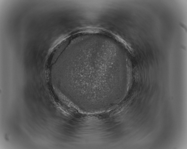 X0000096481448200802211203